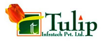 Tulip